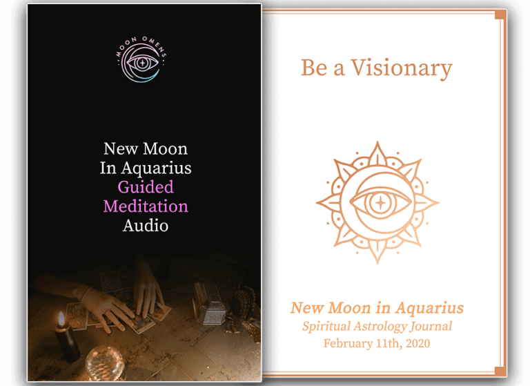 New Moon in Aquarius Seeds of the Future Moon Omens