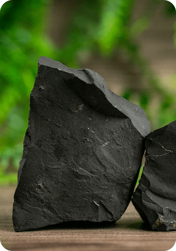 checkout Shungite Guided Meditation