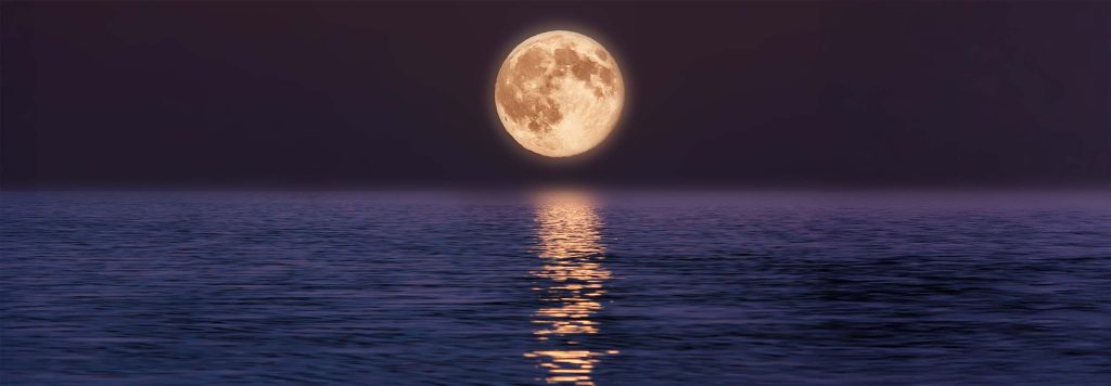 article Full Moon in Cancer 2025: A Safe Space to Feel